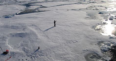 Climate Emergency Arctic Permafrost Is Thawing 70 Years Earlier Than