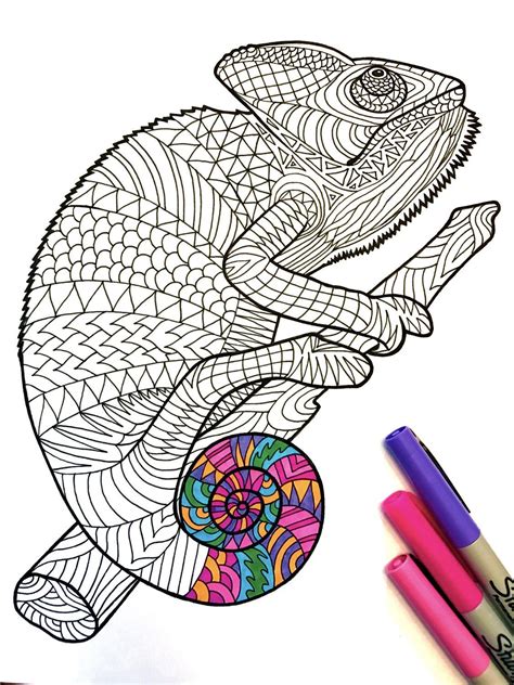 Chameleon Pdf Zentangle Coloring Page Scribble And Stitch Ink Pen