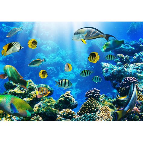 Wall26 Photo Of A Tropical Fish On A Coral Reef Removable Wall