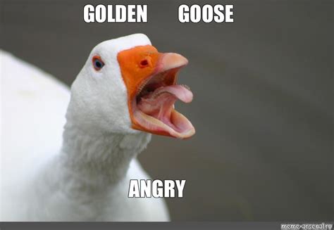 Create Meme Geese House Goose Evil Goose Pictures Meme