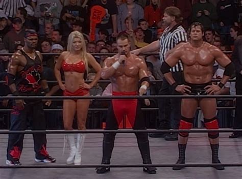 Ppv Review Wcw Sin 2001