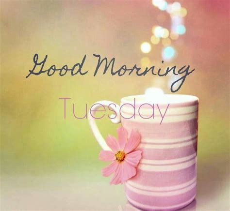 Check spelling or type a new query. Tuesday Pictures, Images, Graphics - Page 8
