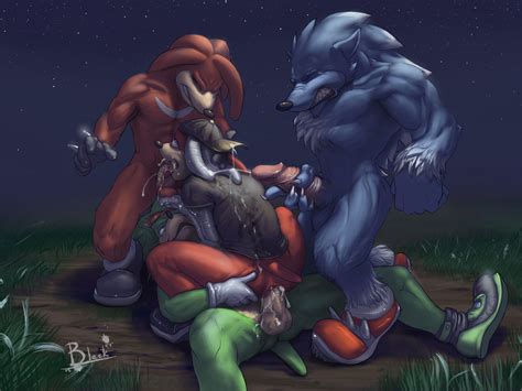 Rule 34 Anal Fur Furry Hedgehog Knuckles The Echidna Leostar Lion21 Male Male Only Multiple