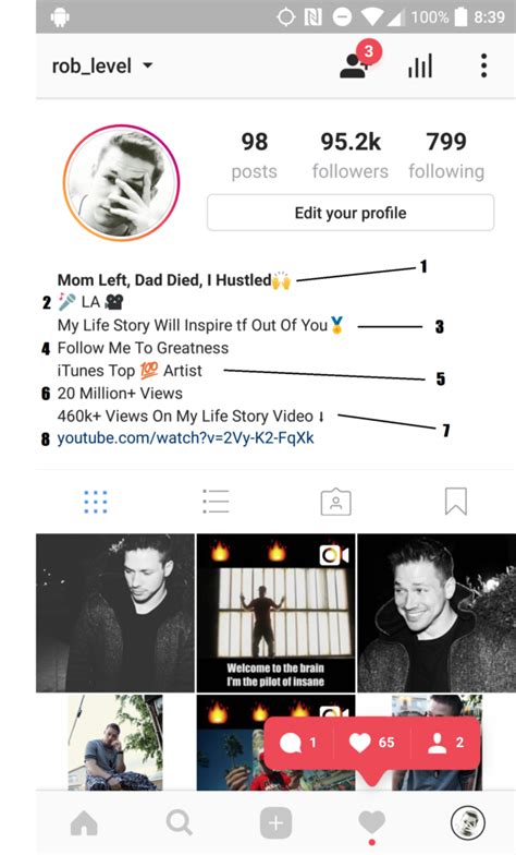 How To Make A Good Instagram Bio To Gain Followers Fast
