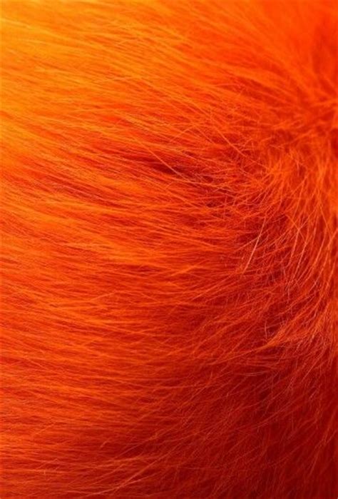 221 Best Color Orange Melon Coral Images On Pinterest