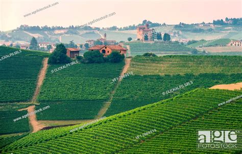 Italy Piedmont Cuneo District Langhe The Castle Of Grinzane Cavour