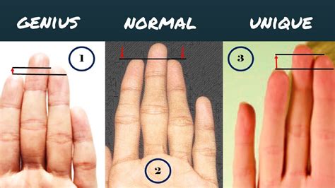 Ring Finger Length Vs Index Finger Duane Pickrell Kapsels
