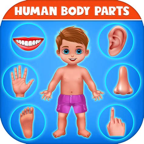 Human Body Parts Preschool Kids Learning Apps For Android