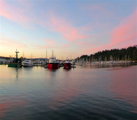 Port Of Anacortes Profile