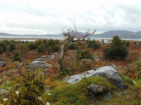 Ireland in October - Here's What to See and Do - LTR Castles