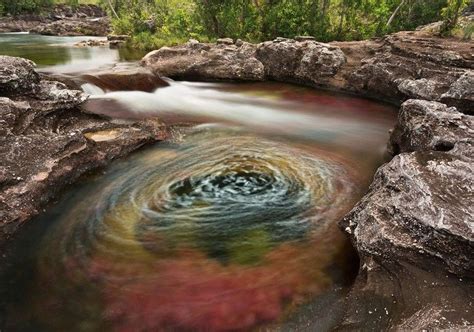 Caño Cristales The Worlds Most Beautiful River Which Glows Into
