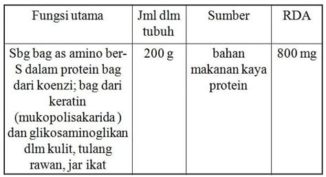 Makronutrien Pengertian Jenis Fungsi Dan Metabolisme
