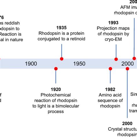Timeline Highlighting Major Advancements In Our Molecular And