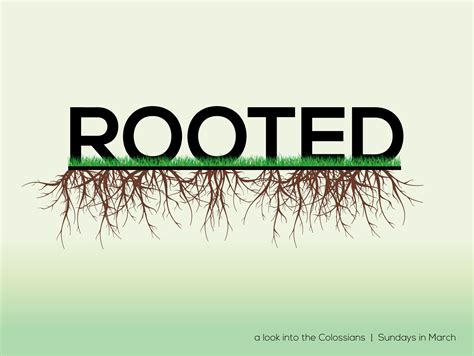 Rooted Colossians 26 7 The Village