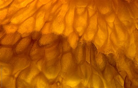 Closeup Nature Macro Slice Of An Orange Abstract Patterns Del