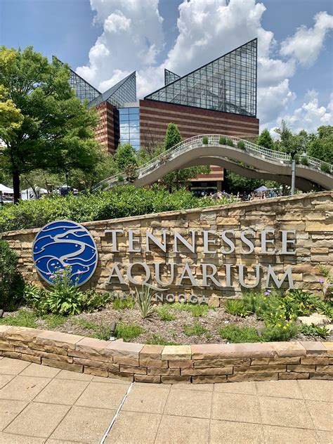 Tennessee Aquarium Tennessee Aquarium Aquarium Tennessee