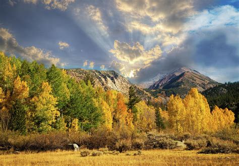 Fall Beauty At Surveyors Meadow Photograph By Lynn Bauer Fine Art