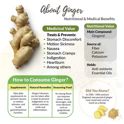 Chronic Inflammation Management With Ginger McIsaac Health Systems Inc