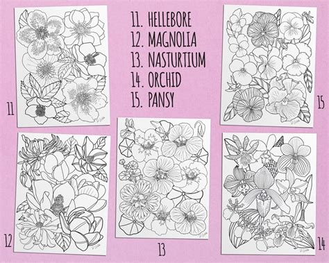 Blossoms Volume 1 25 Page Flower Adult Coloring Book Pdf Etsy