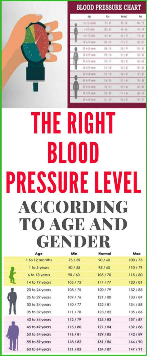 To establish whether your blood pressure is within normal / average range for your age please consult with your personal doctor. The Right Blood Pressure Level According To Age And Gender ...
