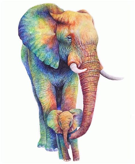 “check Out These Gorgeous Rainbow Elephants By Colorsofthewild