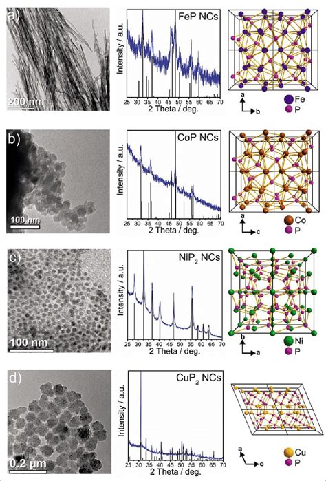 Characterization Of Metal Phosphide Ncs Transmission Electron