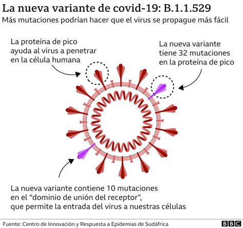 Ómicron Las Razones Por Las Que Preocupa La Variante Del Coronavirus