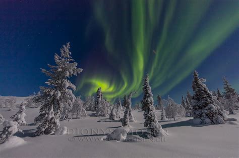 Lapland Aurora Foto And Bild Himmel And Universum Polarlichter Finnland