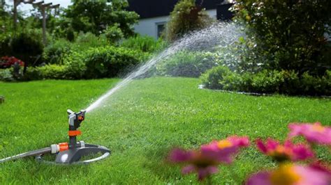 5 Best Impact Sprinkler Review And Complete Buying Guide 2021