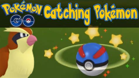 Jul 23, 2017 · some people have noted that pokemon go fest participants enjoyed a 100 percent catch rate. Pokemon GO - How To Catch Pokemon! [Pokemon GO iOS/Android ...