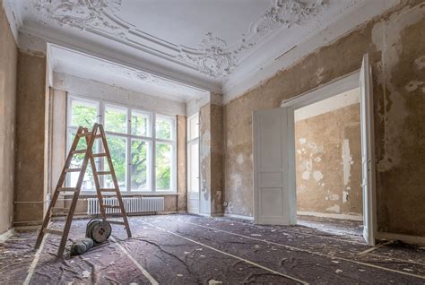 Schimmelentferner chlorhaltig 500ml mit pinsel für ein einfaches auftragen gegen schimmelflecken und schimmel an der wand, im haus, wohnung, zimmer. Hamburg Schimmelbekämpfung in Haus Büro und Lagerräumen