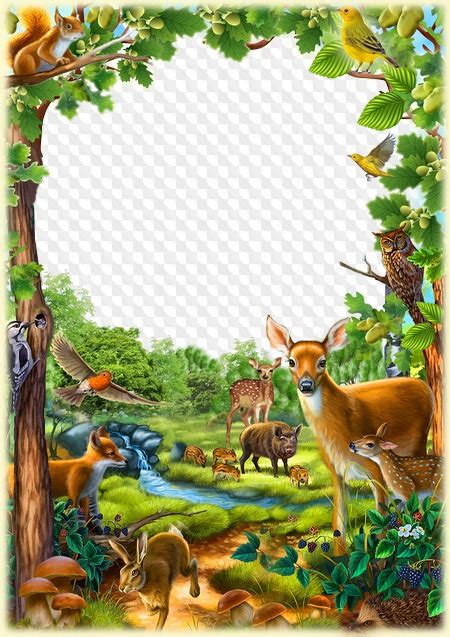Photo Frame Animals On A Forest Glade