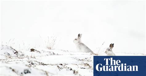British Wildlife Photography Awards 2012 In Pictures Environment