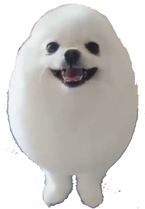 Eggdog Discord Emoji