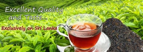 Ceylon Tea Banner 1500x550