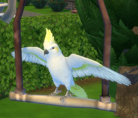 Sims 4 Ccs The Best Pet Decor By Biguglyhag