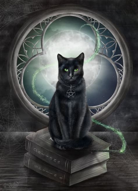 A Familiar Cat By Clb Raveneye On Deviantart In 2023 Black Cat Art
