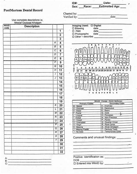 Dental Chart Notes Template