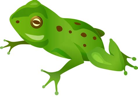 Frog Coloring Page Png