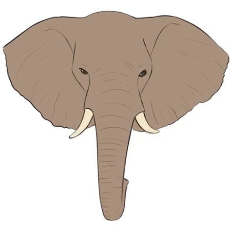 How To Draw An Elephant Art For Kids Elephants Arent Always Easy To