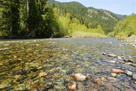 Photos Hiking The Skagit River Trail In Skagit Valley Provincial Park