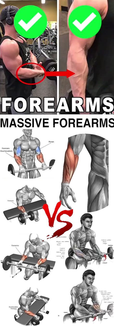 Massive Forearms Your Forearms Dont Get The Respect They Deserve