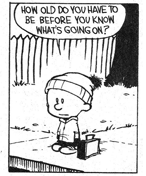 But since store clerks, wait staff and bartenders can be criminally liable for selling alcohol to a minor, they often require a photo id issued by a government agency. Calvin and Hobbes: a collection of Humor ideas to try ...