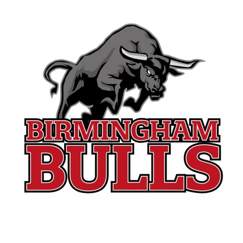 Birmingham Academy Of American Football British American Football