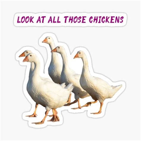 Look At All Those Chickens 2 Sticker For Sale By Illone Redbubble