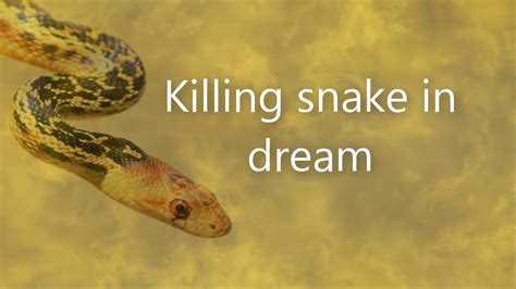 Killing Snake In Dream Meaning Hindu - Snake Poin