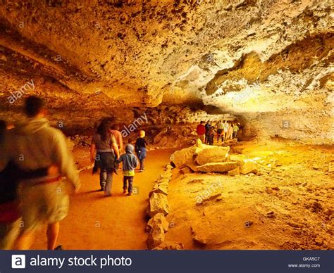 Cleveland Avenue Tour Mammoth Cave National Park Park