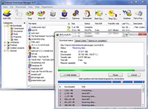 It allows you to download all the images on a website. Internet Download Manager: the fastest download accelerator
