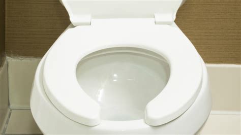 Why Are Public Toilet Seats U Shaped Mental Floss