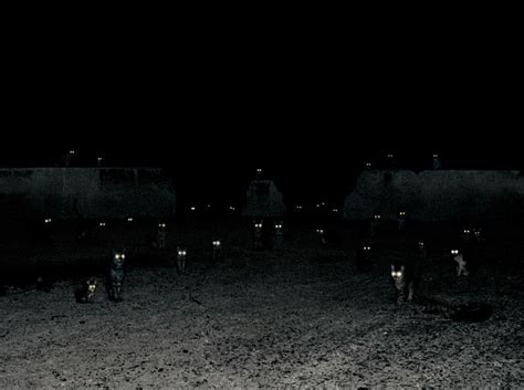 Cats Eyes Glowing In The Dark By Photographer Andrea Galvani Creepy